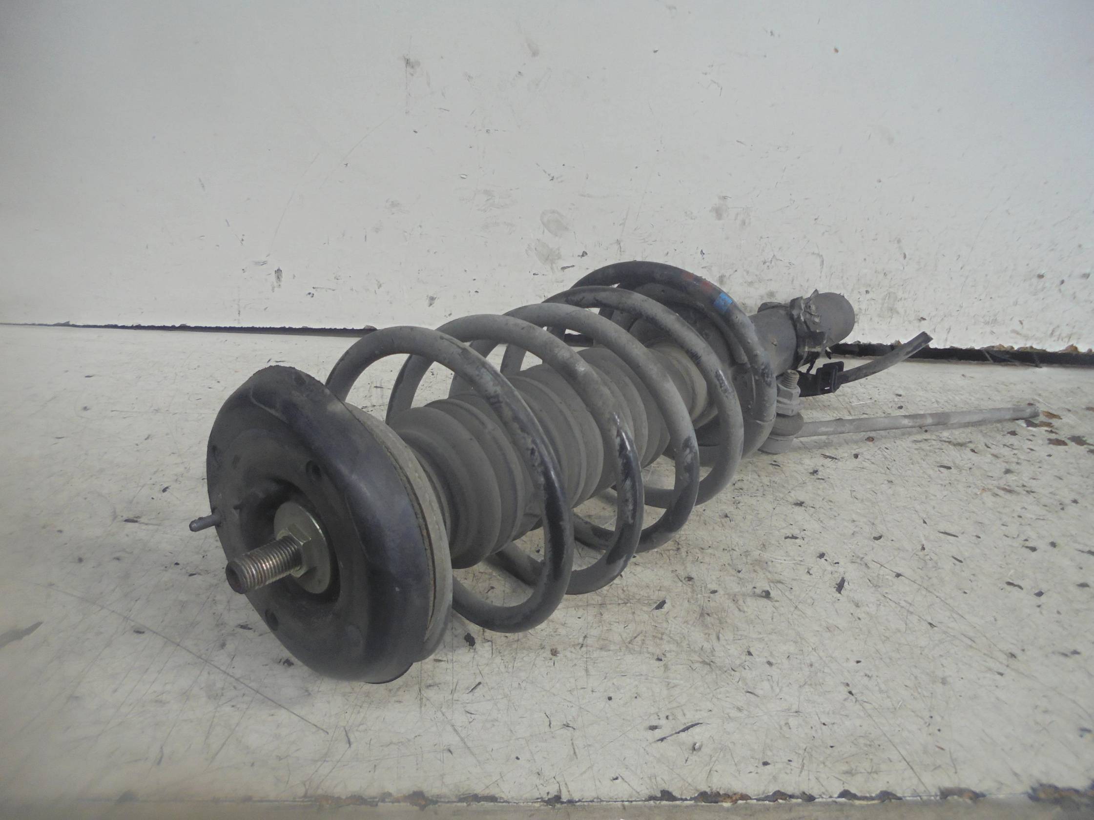 Ammortizzatore ant. sx.